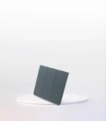 ST-P3G